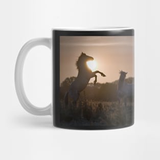 Sunset Challenge Mug